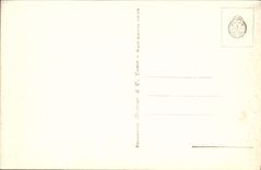 CPA Roma Citta del Vaticano Giardino