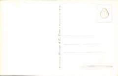 Della Fortuna de Roma Tempio de la POSTAL de la VENDIMIA viril