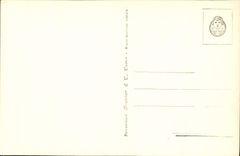 POSTAL Roma Citta Del Vaticano Guardia Svizzerra Militari de la VENDIMIA