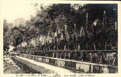 CPA Tivoli Villa d'Este 