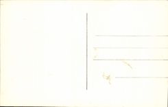 CPA Vichy Bords De l'Allier