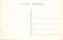 VINTAGE POSTCARD Vichy Premenade Asses Mules Children