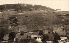 CPA Gamay Coteau des Chatenier