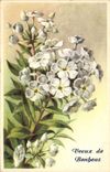 CPA Voeux de Bonheur Fleurs