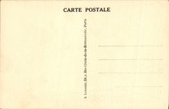 CPA Versailles Le Chateau vu du Parc