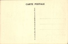 CPA Versailles Le Chateau vu du Parc