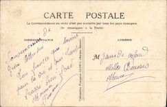 VINTAGE POSTCARD Fantasy Flowers Brodee Dove