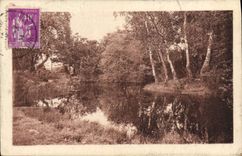 VINTAGE POSTCARD Drill of Fontainebleau Pond to the Pigeons