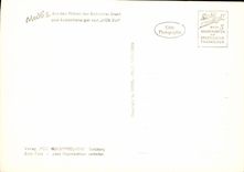 MODERN CARD Hedgehog