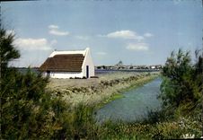 CPm the Camargue With Gardians Close to the Marshes a hut all blanchee