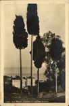 VINTAGE POSTCARD San Remo Cipressi in Regione Solaro