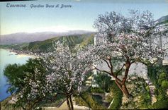 VINTAGE POSTCARD Taormina Giardino Duca Di Bronte