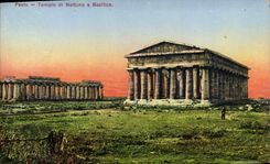 VINTAGE POSTCARD Pesto Tempio Di Nettuno E Basilica