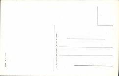 VINTAGE POSTCARD Fantasy Cows Basque Country