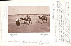 VINTAGE POSTCARD In Der Wuste Egypten In Serves Egypt Chameaux