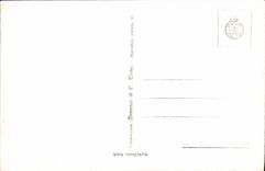 VINTAGE POSTCARD Veined Lago Maggiore Motivo Insulated