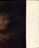 Galleria Uffizi Firenze Leonard de Vinci de Leonardo Autoritratto de la POSTAL de la VENDIMIA