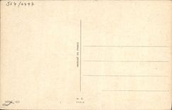 La POSTAL de la VENDIMIA siente como I que señala por medio de luces para usted? Ilustrador de Budou de la mujer