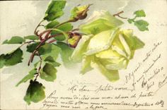 CPA Fantaisie Fleurs