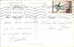 CPM La Cote d'Azur Le Cap Antibes La Garoupe