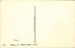 CPA Fantaisie Fleurs