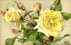 CPA Fantaisie Fleurs Rose Mme Sadi Carnot