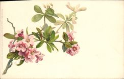 CPA Fantaisie Fleurs