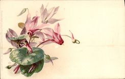 CPA Fantaisie Fleurs