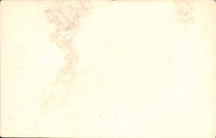 VINTAGE POSTCARD Flower Garden And Conservatory Washington Park Chicago