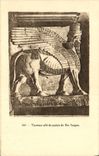 VINTAGE POSTCARD Bull Wing Of the Palate of King Sargon
