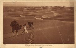 VINTAGE POSTCARD Voyage of a harem through the desert