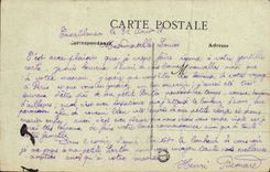 VINTAGE POSTCARD Morocco Palmeraire in the oasis Sheep