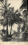 VINTAGE POSTCARD Old Biskra a Street