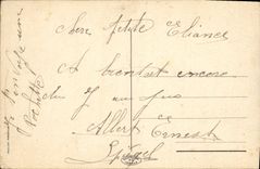 CPA Une Rue Dans La Palmeraie