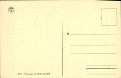 VINTAGE POSTCARD Blessed Ounif Palm plantation