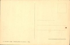 VINTAGE POSTCARD Rammed S Maria della Spina P Laurati