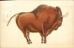 CPA Patronato De Las Cuevas De Altamira Santander Bisonte parado 