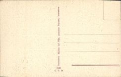 VINTAGE POSTCARD Landscape Sheep