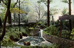 CPA Whiteley Woods Sheffield