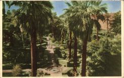 VINTAGE POSTCARD Sevilla Reales Alcazares Garden