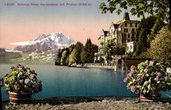 VINTAGE POSTCARD Schloss Hotel Hertenstein MIT Pilatus