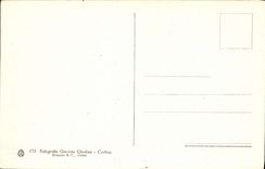 Parte posterior del Dal Ghiacciaio Della Marmolata del panorama de la POSTAL de la VENDIMIA él Cadore