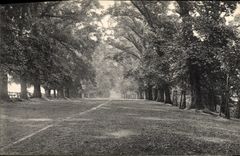 VINTAGE POSTCARD CLifton Grove Nottingham