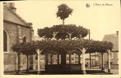 VINTAGE POSTCARD the Tree Of Mason