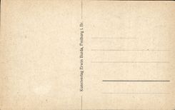 VINTAGE POSTCARD Hirschsprung Im Hollenfal Schwarzwald Stag