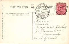 VINTAGE POSTCARD Birmingham The duck lays