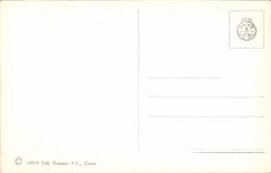 VINTAGE POSTCARD Napoli Castello Nuovo