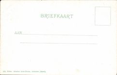 VINTAGE POSTCARD Hiacinthenvelden Flowers