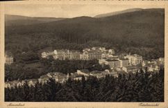 POSTAL Marienbad Totalensicht de la VENDIMIA