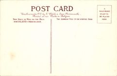 VINTAGE POSTCARD Norwich Cathedral S W View